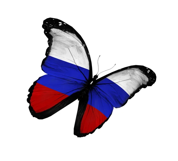 Motýl ruské vlajky létání, izolované na bílém pozadí — Stock fotografie