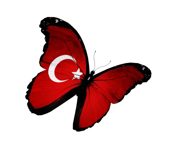 Flaga turecka motyl latający na białym tle na białym tle — Zdjęcie stockowe