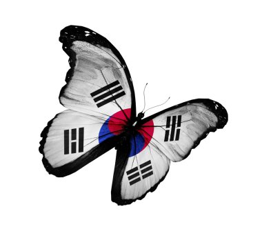 Güney Kore bayrağı kelebek uçuyor, izole üzerinde beyaz arka plan