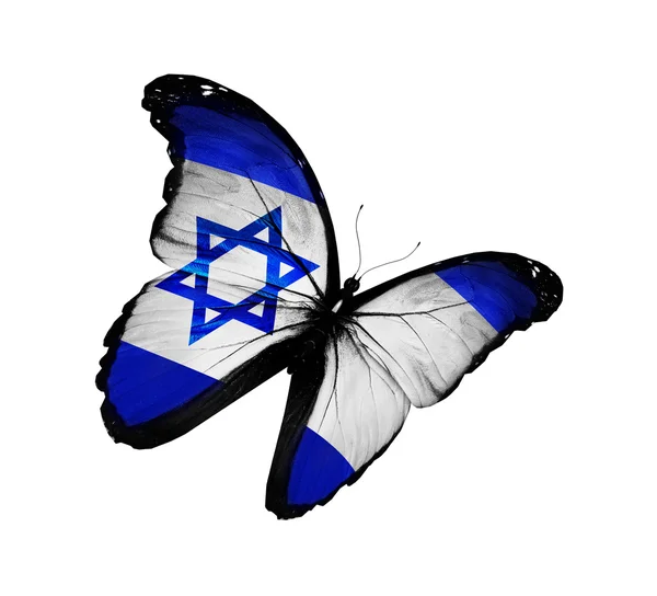 Bandeira israelense borboleta voando, isolado no fundo branco — Fotografia de Stock