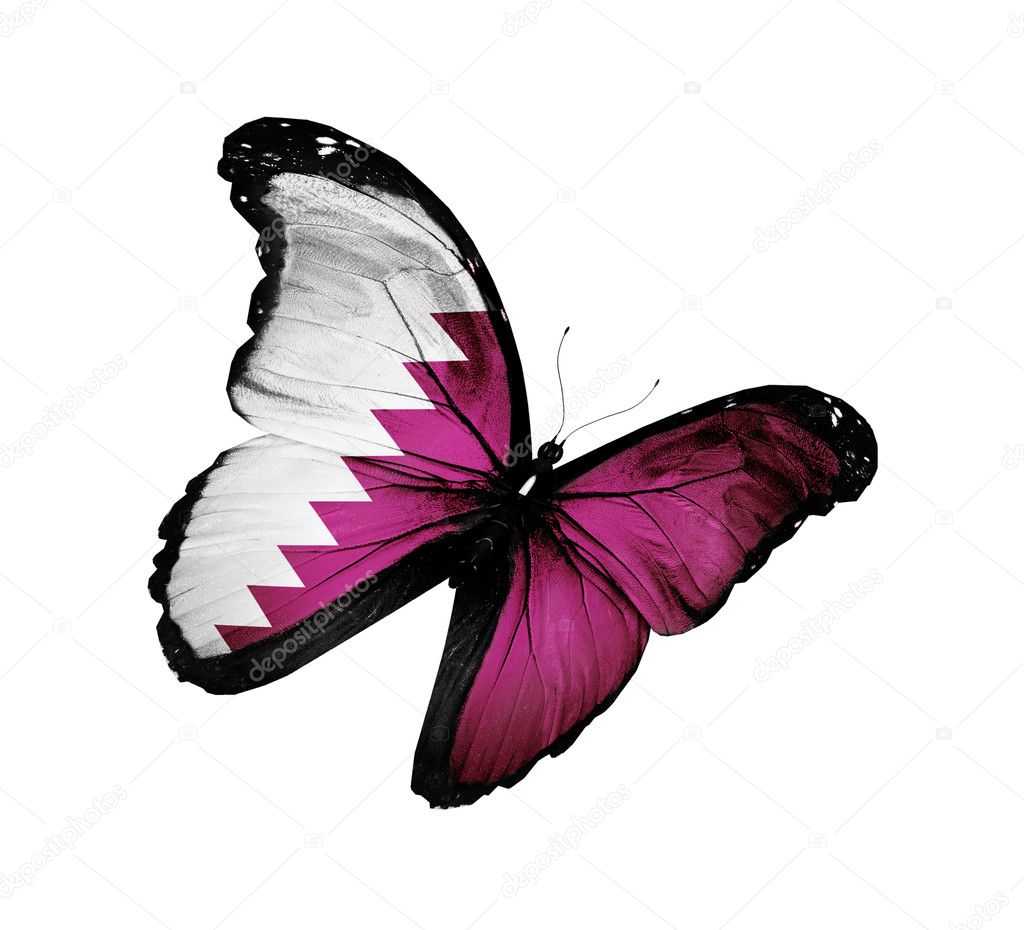Qatari flag butterfly flying, isolated on white background Stock Photo