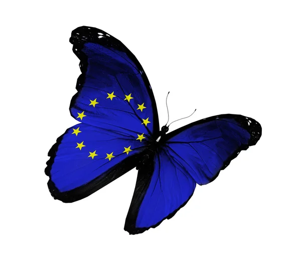 Motýl vlajky Evropské unie létání, izolovaných na bílém poz — Stock fotografie