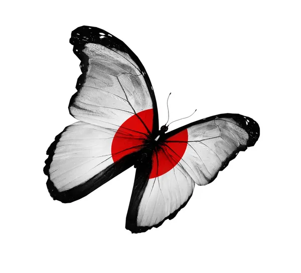 日本国旗蝴蝶飞，孤立在白色背景 — 图库照片