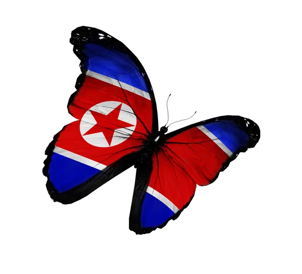 Bandiera coreana farfalla in volo, isolata su sfondo bianco — Foto Stock