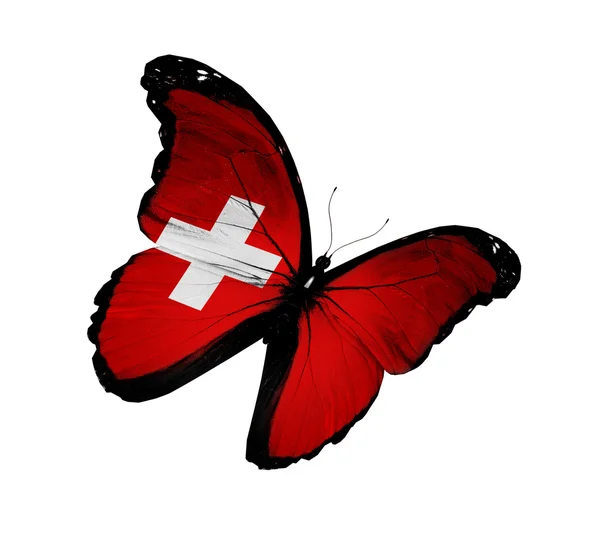Swiss flag butterfly flying, isolated on white background — Stock Photo, Image