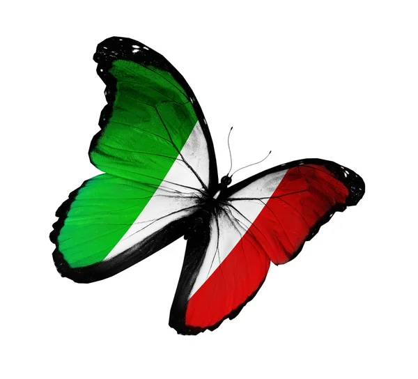 Bandiera italiana farfalla in volo, isolata su sfondo bianco — Foto Stock