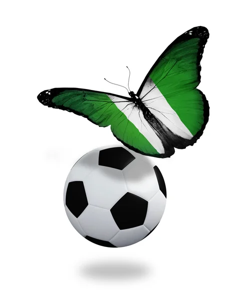 Conceito - borboleta com bandeira da Nigéria voando perto da bola, como — Fotografia de Stock