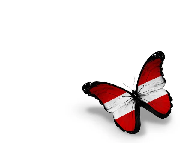 Rakouská vlajka motýl, izolovaných na bílém pozadí — Stock fotografie