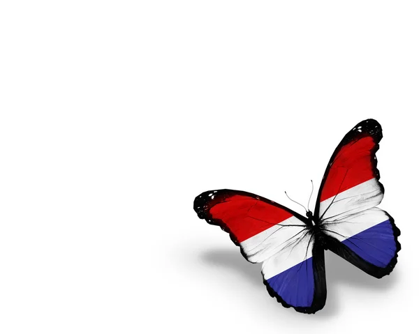 नीदरलैंड ध्वज तितली, सफेद पृष्ठभूमि पर अलग — स्टॉक फ़ोटो, इमेज