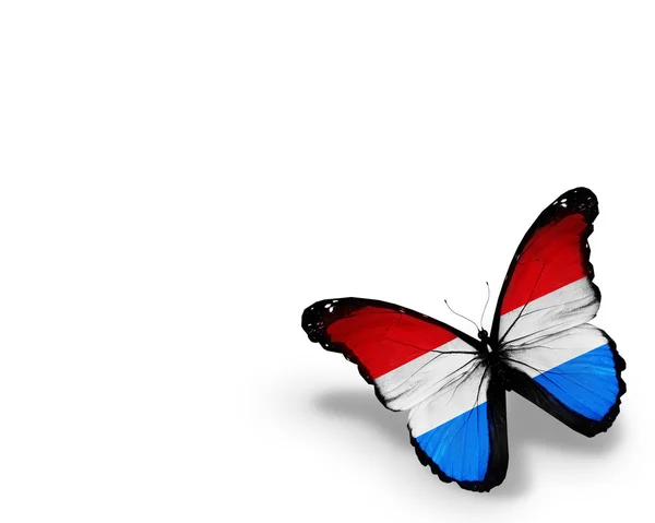 Luxemburg vlag vlinder, geïsoleerd op witte achtergrond — Stockfoto
