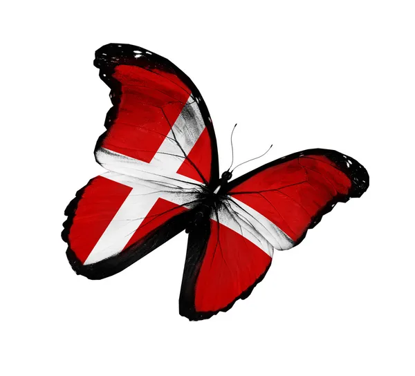 Danska flaggan fjäril flyger, isolerade på vit bakgrund — Stockfoto