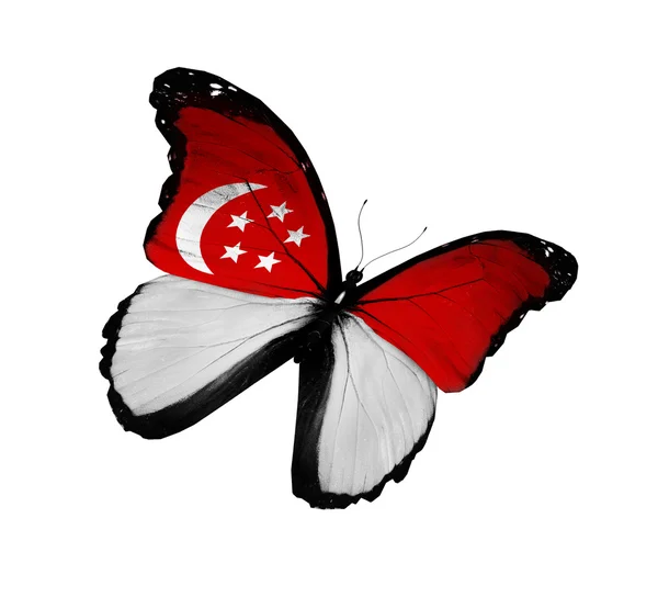 新加坡国旗蝴蝶飞，孤立在白色背景 — 图库照片