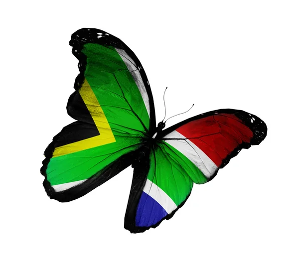 Sud Africa bandiera farfalla sventola, isolato su sfondo bianco — Foto Stock