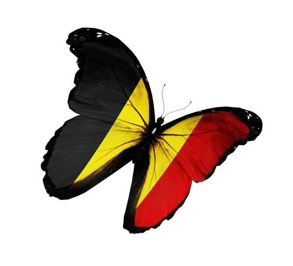 比利时国旗蝴蝶飞，孤立在白色背景 — 图库照片