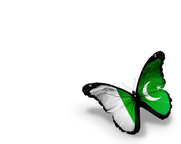 巴基斯坦国旗蝴蝶，在白色背景上孤立 — 图库照片