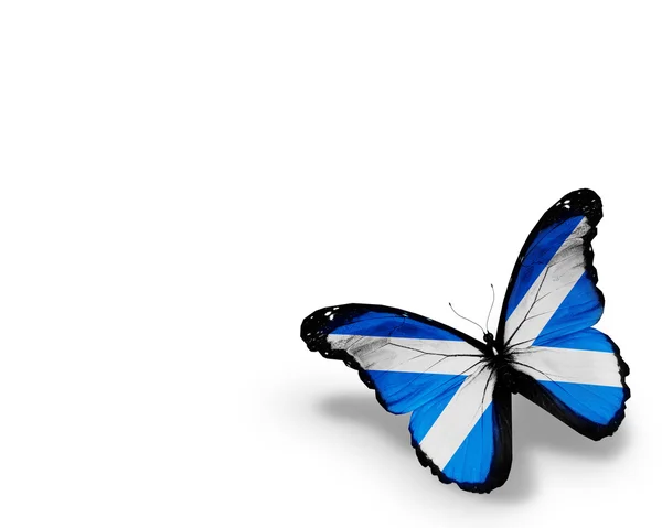苏格兰国旗蝴蝶，在白色背景上孤立 — 图库照片