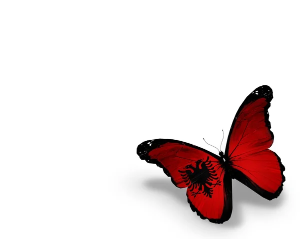 Albanian flag butterfly, isolated on white background — Stock Photo, Image