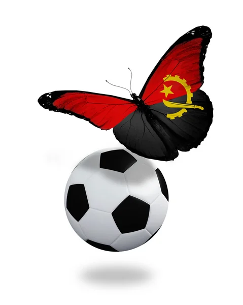 Концепция - бабочка с ангольским флагом, летящим рядом с мячом, как — стоковое фото