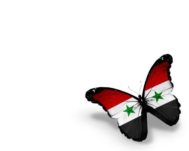 Suriye bayrağı kelebek, beyaz zemin üzerine izole