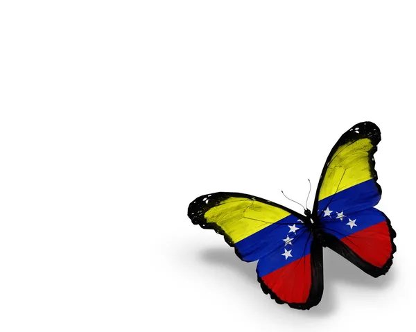 Флаг Венесуэлы бабочка, изолированные на белом фоне — стоковое фото