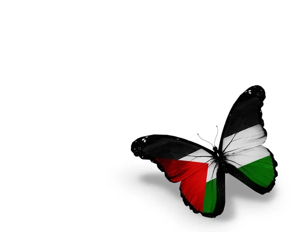 Mariposa de bandera palestina, aislada sobre fondo blanco —  Fotos de Stock
