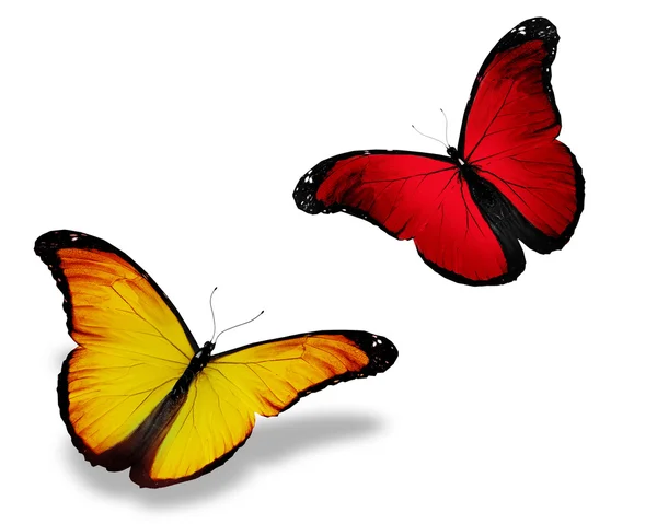 Zwei rot-gelbe Schmetterlinge, isoliert auf weiß — Stockfoto