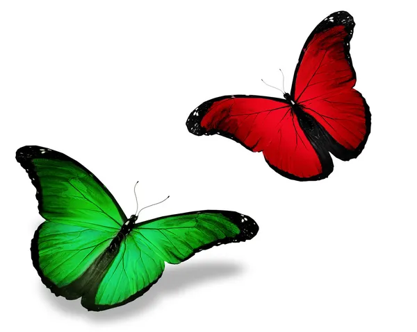 Deux papillons verts rouges, isolés sur blanc — Photo