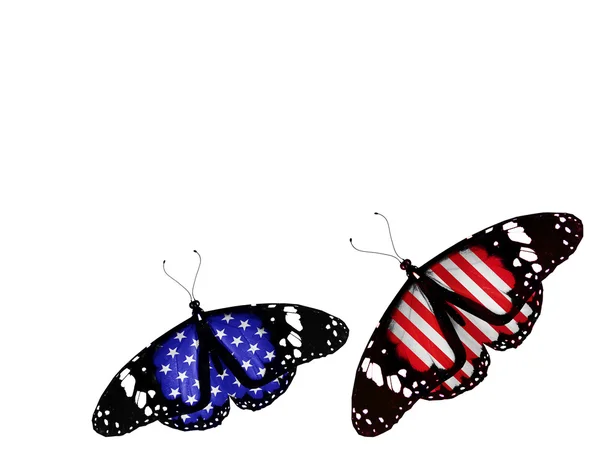 Dos mariposas de bandera americana, aisladas sobre fondo blanco — Foto de Stock