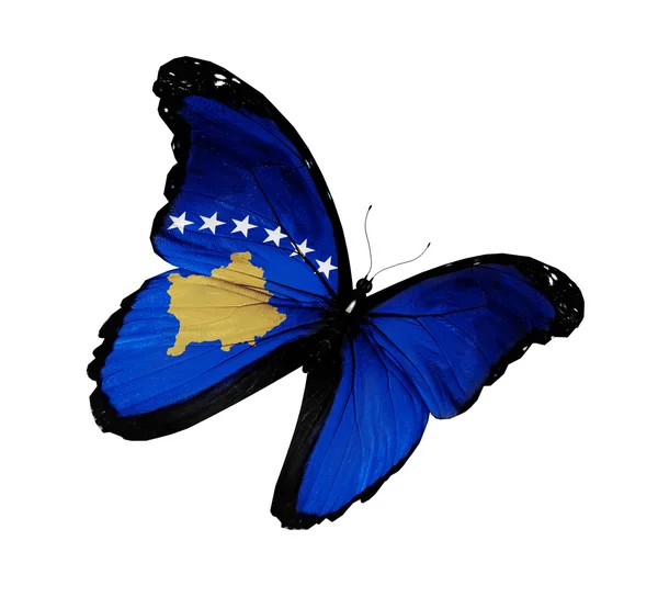 Koszovó zászló pillangó repülő, a elszigetelt fehér háttér — Stock Fotó