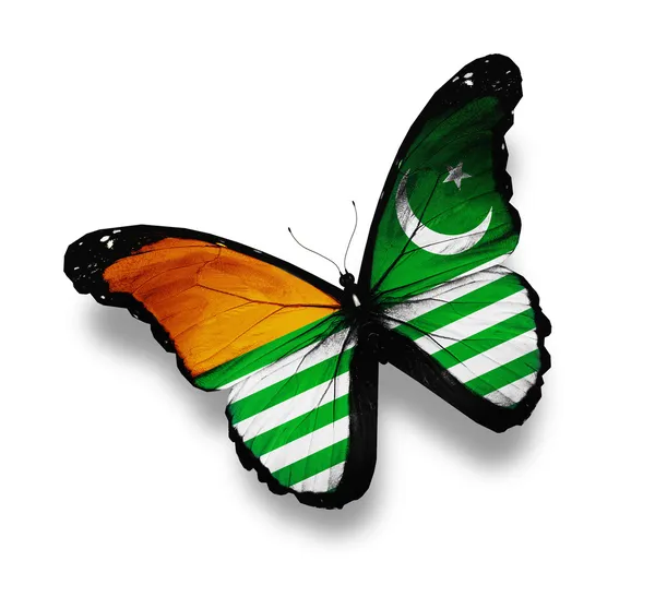 Azad Kasjmir vlag vlinder, geïsoleerd op wit — Stockfoto