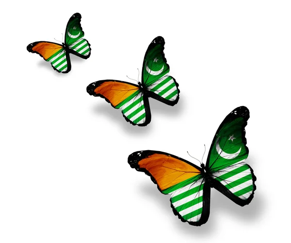 3 부탄 국기 나비, 흰색 절연 — 스톡 사진