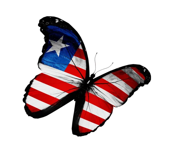 Liberia bandera mariposa volando, aislado sobre fondo blanco —  Fotos de Stock