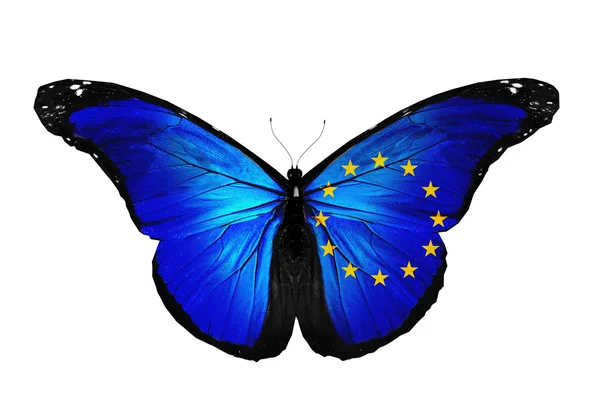 Bandera de la Unión Europea mariposa volando, aislada sobre fondo blanco —  Fotos de Stock