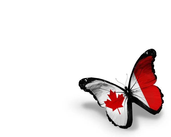 Beyaz arka plan üzerinde izole Kanada bayrağı kelebek — Stok fotoğraf