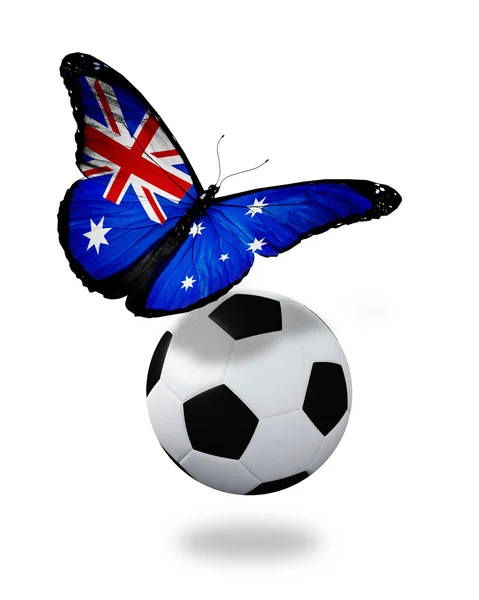 Koncepcja - motyl z Australii banderą, w pobliżu piłkę, l — Zdjęcie stockowe