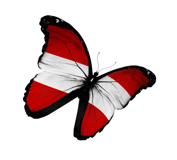 Borboleta bandeira austríaca voando, isolado em fundo branco — Fotografia de Stock