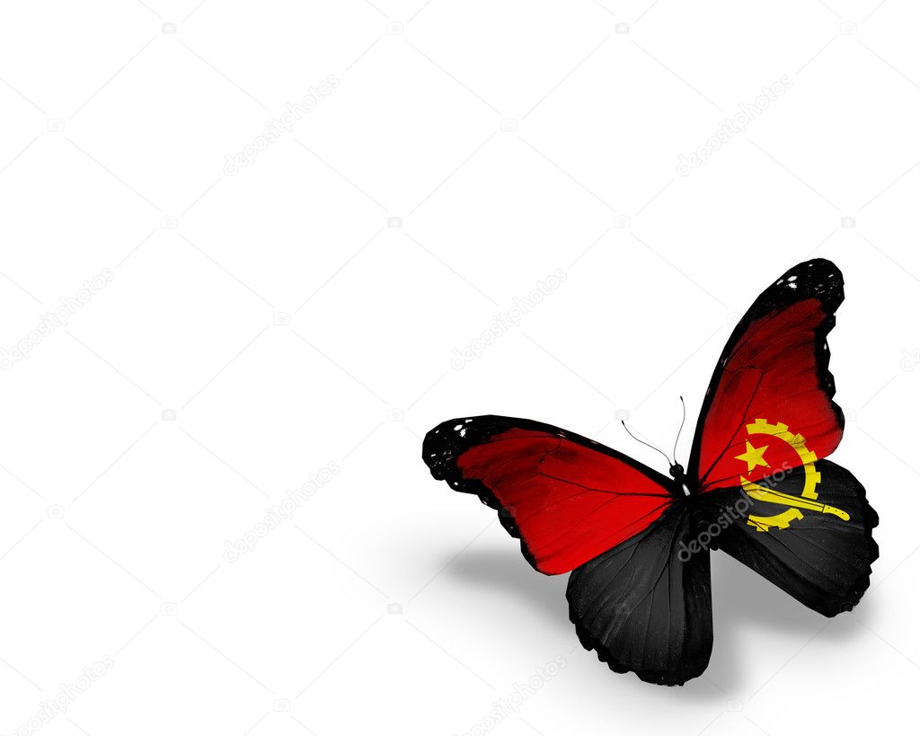 Angolan flag butterfly, isolated on white background