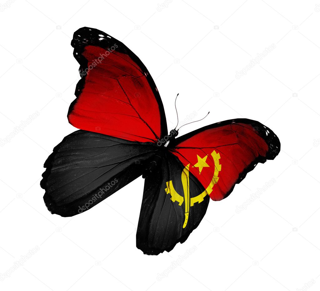 Angolan flag butterfly flying, isolated on white background