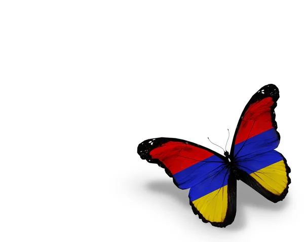 Armenian flag butterfly, isolated on white background — Stock Photo, Image