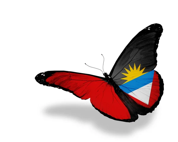 Bandeira de Antígua e Barbuda voando borboleta, isolada em bac branco — Fotografia de Stock