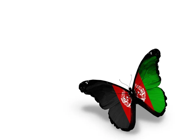 阿富汗国旗只蝴蝶，在白色背景上孤立 — 图库照片