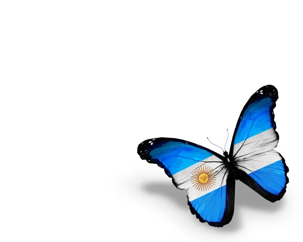 Argentinská vlajka motýl, izolovaných na bílém pozadí — Stock fotografie