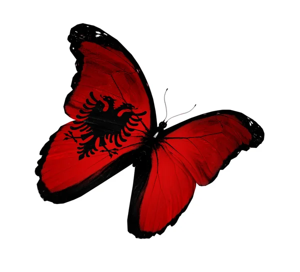 Bandera albanesa mariposa volando, aislada sobre fondo blanco — Foto de Stock
