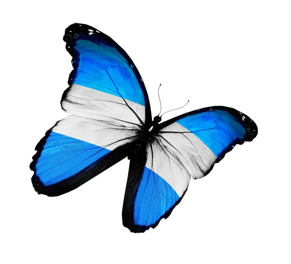 Bandeira argentina borboleta voando, isolada sobre fundo branco — Fotografia de Stock