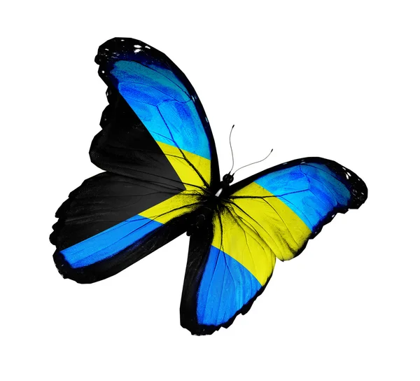 Bandeira das Bahamas borboleta voando, isolada em fundo branco — Fotografia de Stock