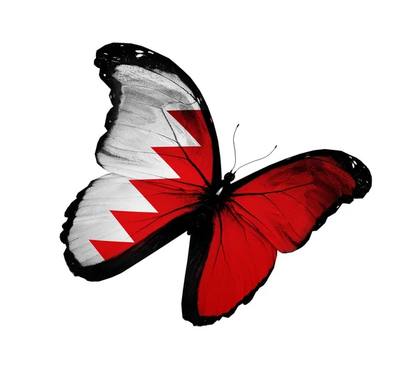 Bandeira do Bahrein borboleta voando, isolada em fundo branco — Fotografia de Stock