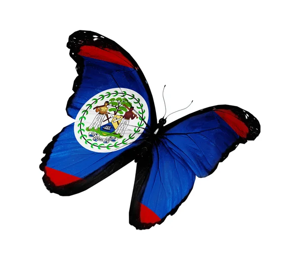 Bandera de Belice mariposa volando, aislada sobre fondo blanco — Foto de Stock