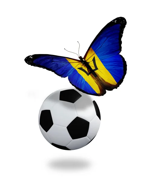 Концепция - бабочка с флагом Барбадоса, развевающимся рядом с мячом, как — стоковое фото