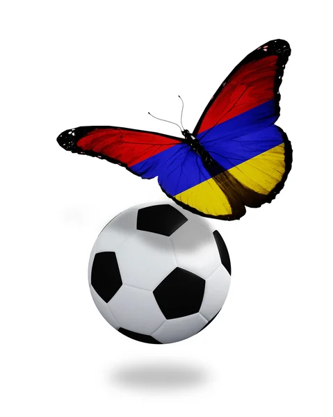 Концепция - бабочка с армянским флагом, летящим возле мяча, как — стоковое фото