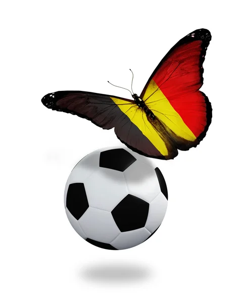 Koncepcja - motyl z banderą belgijską latające w pobliżu piłkę, jak — Zdjęcie stockowe